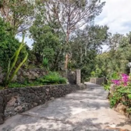 Holiday home Forio Casa Villa, La Grille Du Coq 3 Il Prezzo Della E Riferito All'intero Con Il Limite Delle Persone Previste N 6